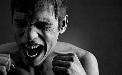 ярость аффективное состояние сильного гнева