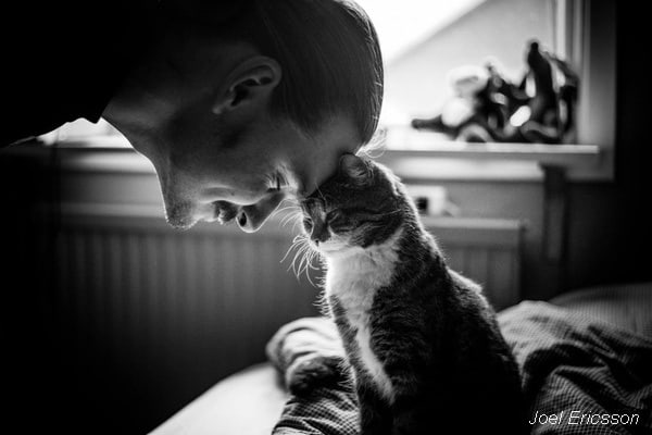 от принуждения к мотивированию